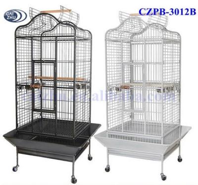 China African Open Top Gray Large Parrot Pet Cages Viable Hot Sale for sale