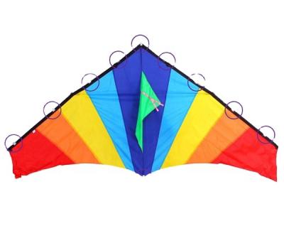 China New Chinese cheap single led kite nylon night ozone kite from kite factory for sale