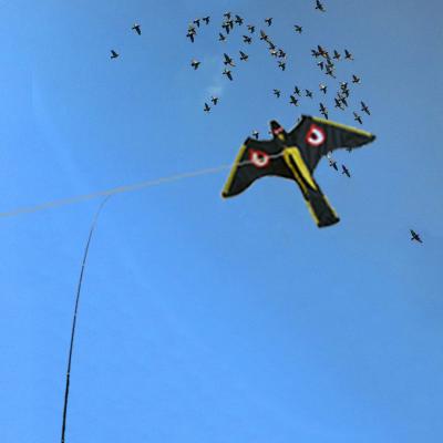 China Factory Disposable Professional High Quality Nylon Hawk Kite For Scaring Birds for sale