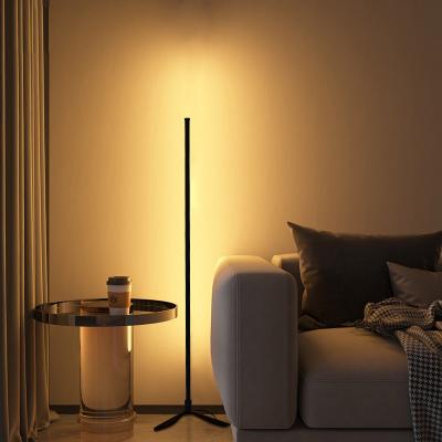 China Euro Style Bluetooth Smart Atmosphere Smart Remote Control App RGB Custom Multi-Color LED Smart Home Light Vertical Corner Floor Lamp for sale