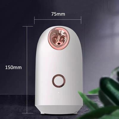 China Face DEEP CLEANSING Warm Mist Moisturizing Cleansing Thoroughs Acne Clear Inner Humidifier SPA System Jet Skin Facial Steamer Home for sale