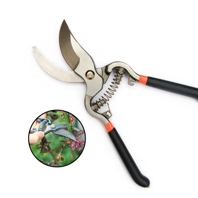 China Garden Pruning Scissors for Planting Various Types Garden Shear with PVC Handle for Household Use for sale