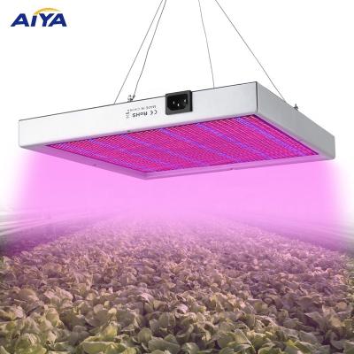 China Seed Starting New Led Lamp Full Spectrum Led Light COB For Growing Light 1000W Watt Led Plant And Vegs Indoor Grow Light for sale