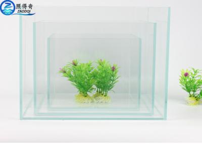 China Durable Clear Glass Square Fish Tank / Aquarium Fish Tank for Commercial Decoration for sale