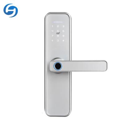 China Waterproof Office Huiyou Fingerprint App Access X5 Smart Door Lock With Touch Keypad for sale