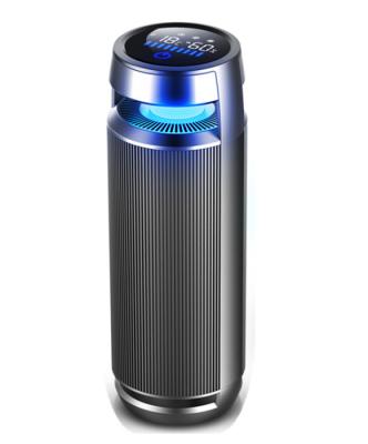 China LCD Display Fast Delivery Car Air Purifier Hepa for sale