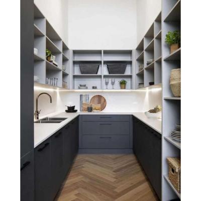 China 2023 Modern Craftsman Bespoke New Wooden Butlers Pantry Organization Kitchen Pantry Cabinet Storage Design for sale