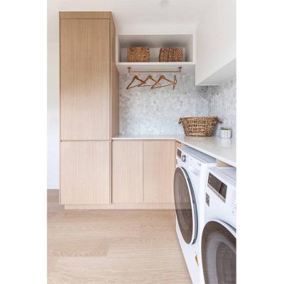 China Craftsman Modern New Arrival Wooden Laundry Cabinet for sale