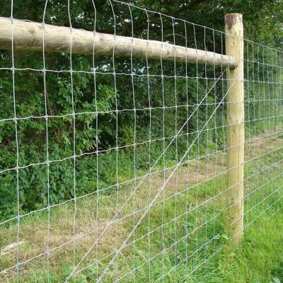 China Anping Easily Assembled Tailong 2021 High Quality Product Hebei Hesco Wire Mesh Hesco Bastion Sale Barriers for sale