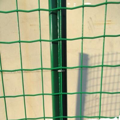 China Dutch Weave 2021 Hot Selling Product PVC Coated Holland Welded Wire Mesh Fence for sale