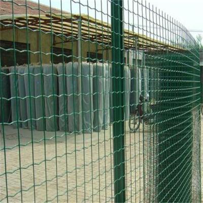 China Dutch weave 2021 hot selling product pvc coated welded wire mesh roll called euro type fencing or holland mesh netting for sale