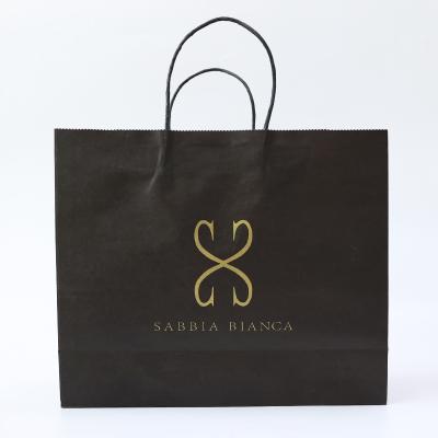 China Biodegradable Fast Delivery E-commerce Washable Kraft Paper Bags With Rope Handle for sale