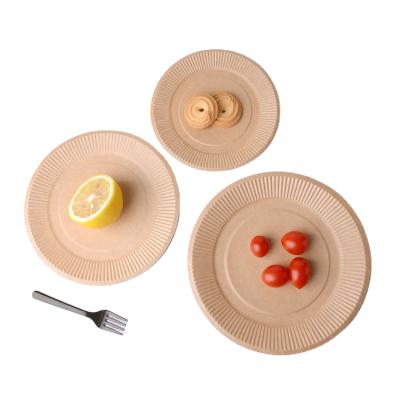 China Disposable Made in China Fruit Party Barbecue Cake Biodegradable Disposable Paper Plate for sale