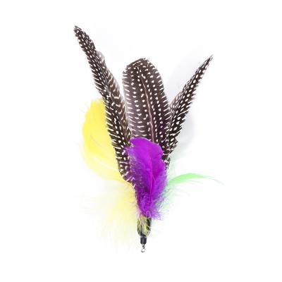 China Viable Replacement Cat Feather Toy Set of 11 PCS Cat Feather Teaser Wand Toy for Kitten Cat for sale