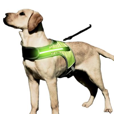 China Pet Safety Harness Reflective Collar LED Light Up Dog Harness Night Walk Dog For Medium Large Dogs Pit Bull German Bulldog S for sale