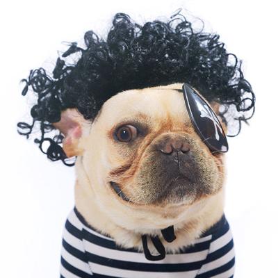 China Viable Hot Selling Wholesale Dog Wig For Party And Halloween for sale