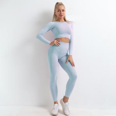 China QUICK DRY Women Plus Size Set Seamless Workout Yoga Long Sleeve Shirts Sport Wear Gym Clothing Shorts Crop Top Running Leggings Set for sale