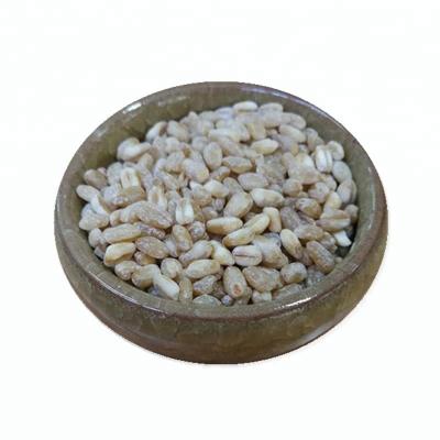 China Dried High Quality Bulk Wheat Grain For Russia Supermarket for sale