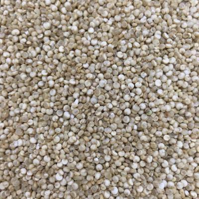 China Premium Grade Red Quinoa Grain Dry Bulk Organic Quinoa For Sale for sale