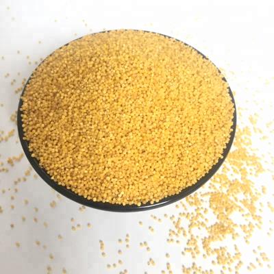 China Food Grade Protein Rich Organic Chinese Gluten Free Grain Yolk Millet Hulled Millet For Porridge for sale