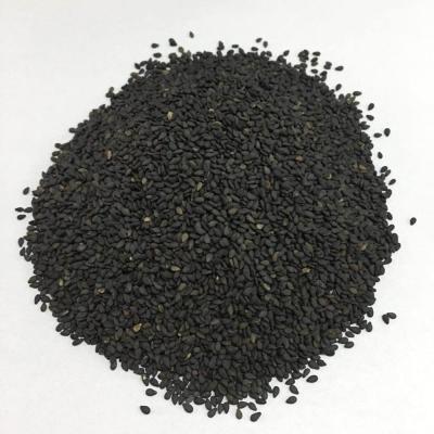 China High Nutrition Human Natural Natural Black Sesame Consumption Sesame Seed Natural Buyer for sale