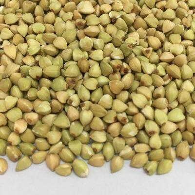 China New Crop 2021 Buckwheat Seed Delicious Nutrition Buckwheat Cheap Price for sale