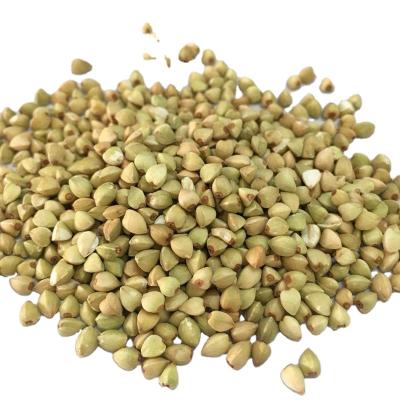 China Cheap Price Top Grade Organic Buckwheat Dried Light Green Roasted Buckwheat for sale