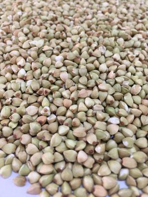 China Bulk Sale Buckwheat Groats Dry Natural Buckwheat Kernel Non Shell for sale