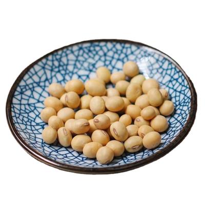 China Specialty Soybean Export Premium Dry Yellow Soybeans Seeds Organic for sale