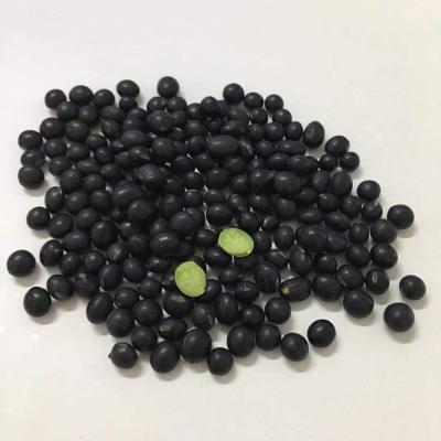 China High quality cheap black bean dry high protein black soybeans non GMO soy for sale for sale