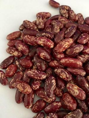 China New Cultivation Yanzhifang Dried Bean Dried Purple Spotted Dwarf Bean Soy Bean for sale