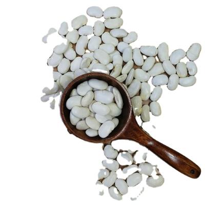 China High Quality Soy Bean Dwarf Beans Dry White Soybean Supplier for sale