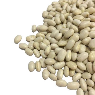 China Best Price Dried Kidney Bean Dry White Soy Beans Price for sale