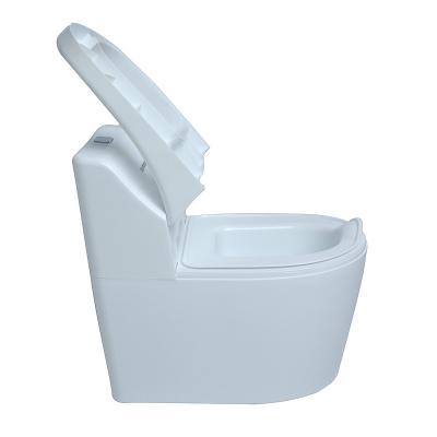 中国 infant potty Kids size toilet with flush sound Flushing training seat chair for children for sell 販売のため