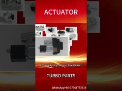 Turbo Electronic Actuator