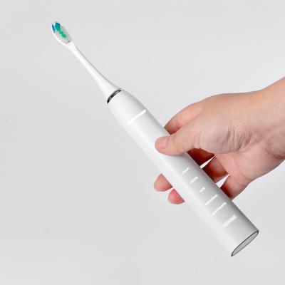 China Wholesale 2021 Size Quality Electric Toothbrush Vibration Inductive Filling Soft Adult Electric Toothbrush Quality Assurance for sale