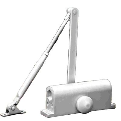 China Modern Heavy Duty Adjustment Automatic Hydraulic Aluminum Glass Door Closer for sale