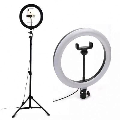 China PORTABLE fashion 12 inch ring light ring light led universal fill light for cell phone and tablet for sale