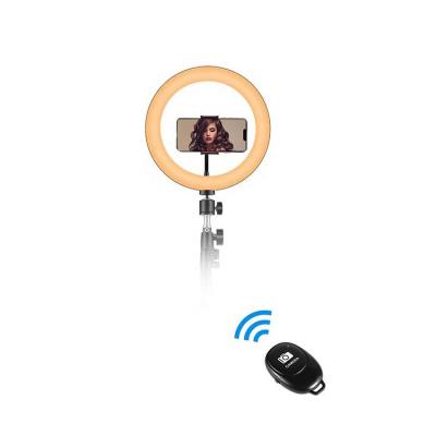 China Good Selling PORTABLE 10 Inch Selfie Ring Light With Stand Fill Light Universal Mobile Phone Live Stream Video Light for sale