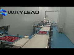 Freeze-dried fruits and vegetables packing ​production line