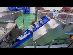 Automatic Packaging Line