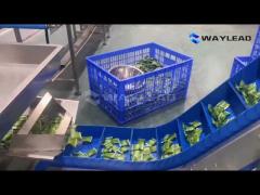 Automatic Packaging Line Automatic Packaging Line Automatic machines for food processing