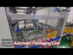 high performance precision automatic packaging line complete set of packaging conveying, sealing