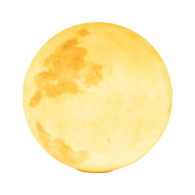 China Unique New Design Popular Garden Garden Lighting Led Lights Outdoor Moon Light for sale