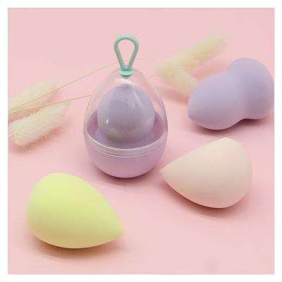 China Custom Logo Soft Tear Drop Latex Makeup Sponge Applicator 3D Sponge Custom Blender Beauty Cosmetic Face Makeup Sponge in Bottles for sale