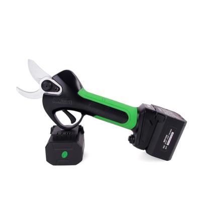 China Anti-Slip Handle Shears New Electric Shears /Tree's Best Branch Pruners for sale