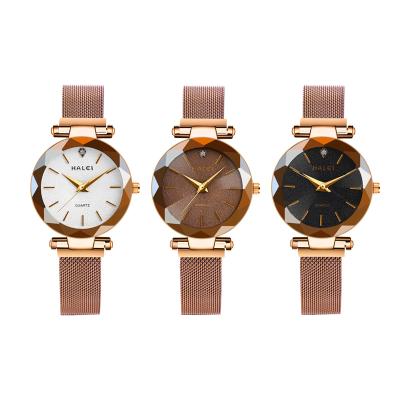 China Waterproof HALEI Own Brand Watch Luxury Classic Mesh Belt Ladies Quartz Steel Watch High Quality for sale