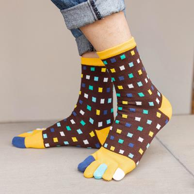 China Colorful Thick Men Five Toe Socks Autumn Winter Crew Anti Slip Fashion Plaid Cotton Sports Wholesale High Quality Hot Sale QUICK DRY for sale