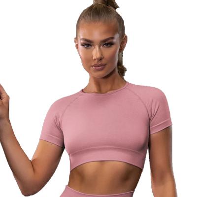 China New Breathable Customized Top Short Sleeve Comfortable T-shirt Running Gym Crop Fitness Training Quick-Drying Shirt Women Sports Tights for sale