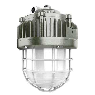 China atex 50W 80W Explosion Proof Light And Led Explosion Proof Lighting Factory Outdoor Use 230(D)x307mm for sale